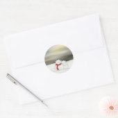 Polar Beren Sticker (Envelop)