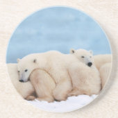 Polar Beren Stone Onderzetter (Voorkant)