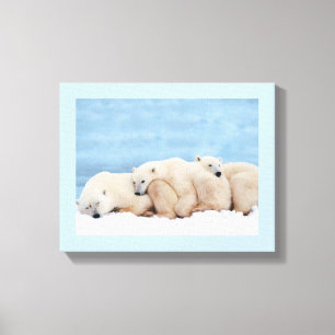 Polar Beren verpakt Canvas Afdruk