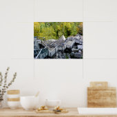 Polar Caves Walkway, Plymouth, New Hampshire Poster (Keuken)