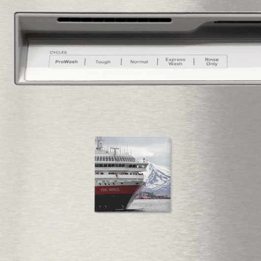 Polar Cruiseship magneet (Insitu (Vaatwasser))