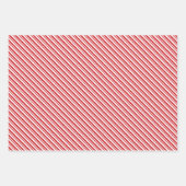 Polar Opposites - Kerst inpakpapier Trio 1 (Voorkant 2)