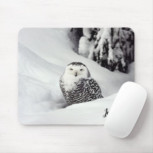 Polar Owl Gedekte Muismat (Met muis)
