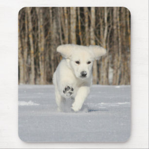 Polar Puppy Foto Muismat