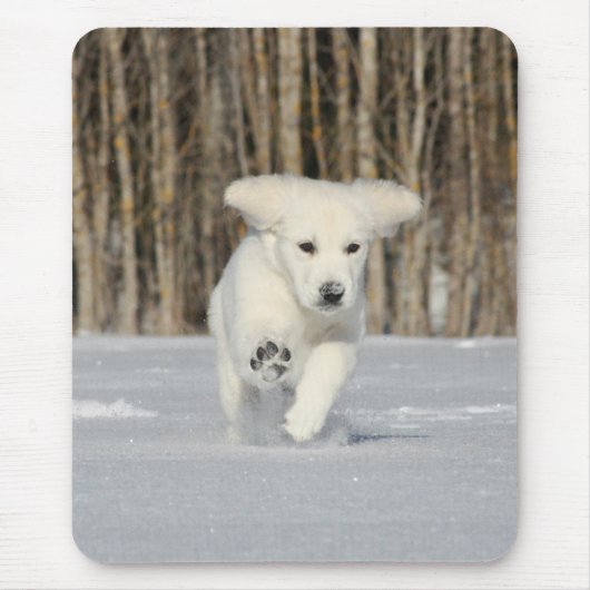 Polar Puppy Foto Muismat (Voorkant)