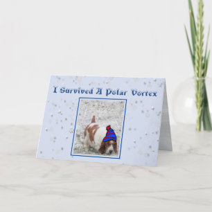 "Polar Vortex" Birthday Card W/Cute Basset Hound Kaart