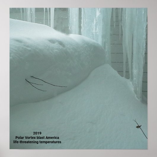 POLAR VORTEX HITS AMERIKA 2019 POSTER (Voorkant)