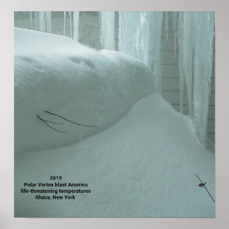 POLAR VORTEX TREFT ITHACA NEW YORK 2019 POSTER