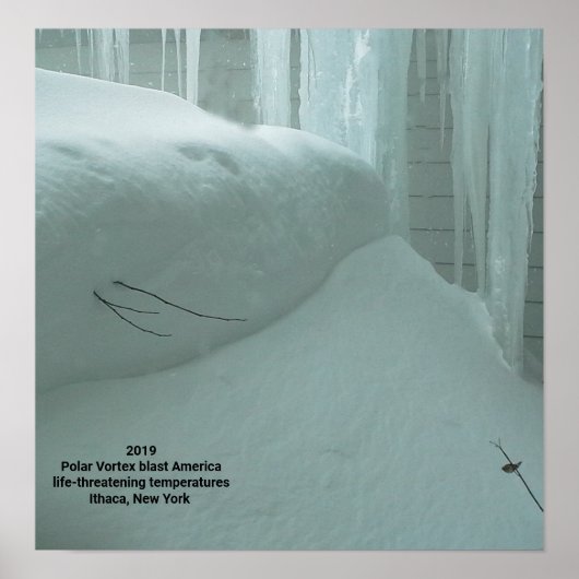POLAR VORTEX TREFT ITHACA NEW YORK 2019 POSTER (Voorkant)