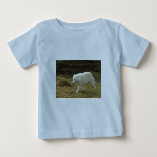 Polar Wolf (Voorkant)