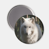 Polar Wolf Magneet (Voorkant / Achterkant)