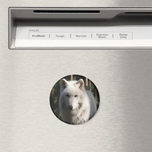 Polar Wolf Magneet (Insitu (Vaatwasser))