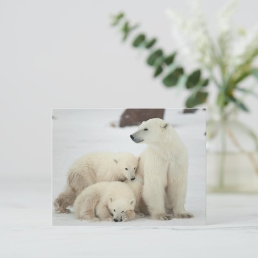 Polar zij-beer met kubussen briefkaart (Staand voorkant)