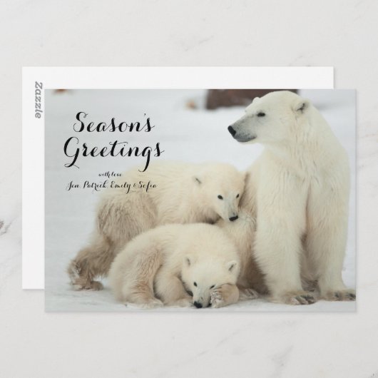 Polar zij-beer met kubussen feestdagenkaart (Voorkant / Achterkant)