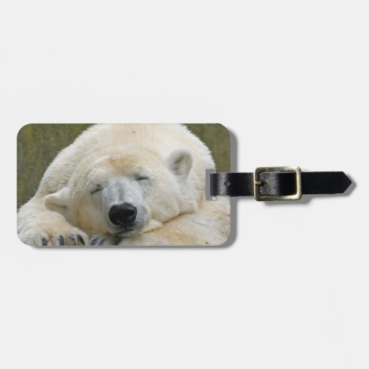 PolarBear20150501 Bagagelabel (Voorkant horizontaal)
