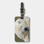 PolarBear20150501 Bagagelabel (Voorkant verticaal)