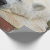 PolarBear20150501 Cadeaupapier (Hoek)