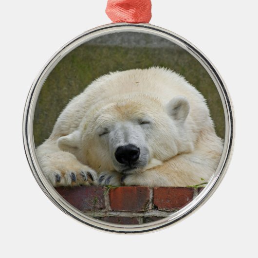 PolarBear20150501 Metalen Ornament (Voorkant)