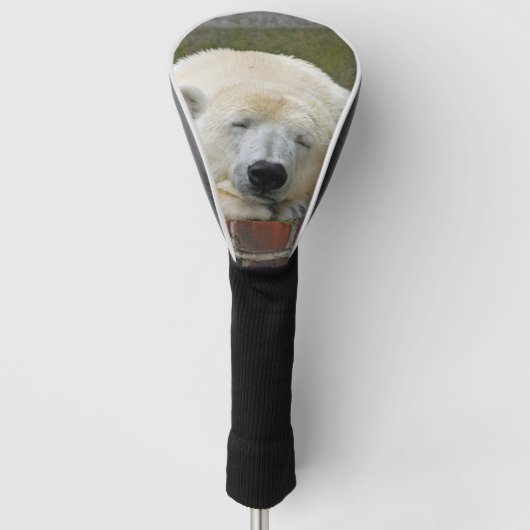 PolarBear 001 Golfheadcover (Voorkant)