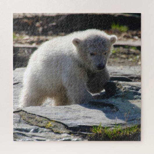 Polarbear 004 van JAMFoto Legpuzzel (Verticaal)