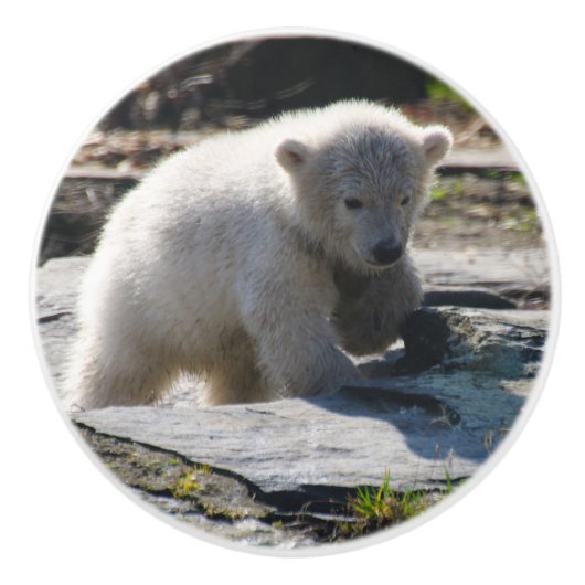 PolarBear_20190302_by_JAMFoto Keramische Knop (Voorkant)