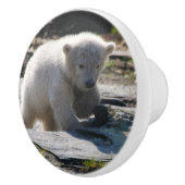 PolarBear_20190302_by_JAMFoto Keramische Knop (Rechts)