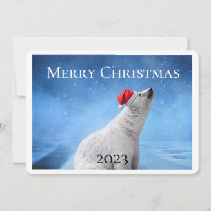 Polarbeer-foto Kerstkaarten Feestdagenkaart