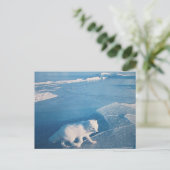Polarfuchs- Postkarte Briefkaart (Staand voorkant)