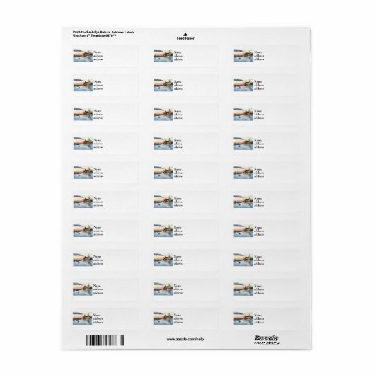 Polaris Sunset Return Address Labels (Full Sheet)