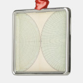 Polarisatieatmosfeer Metalen Ornament (Links)