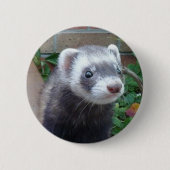 Polecat ferret ronde button 5,7 cm (Voorkant)