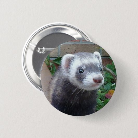 Polecat ferret ronde button 5,7 cm (Voorkant /achterkant)