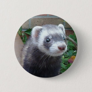 Polecat ferret ronde button 5,7 cm