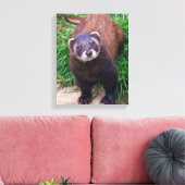 Polecat Verpakt Canvas (Insitu (Woonkamer))
