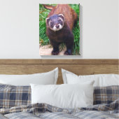 Polecat Verpakt Canvas (Insitu (Slaapkamer))