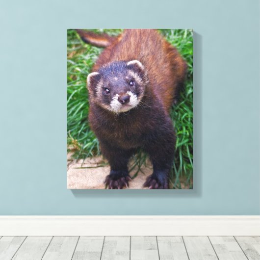 Polecat Verpakt Canvas (Insitu (Houten vloer))