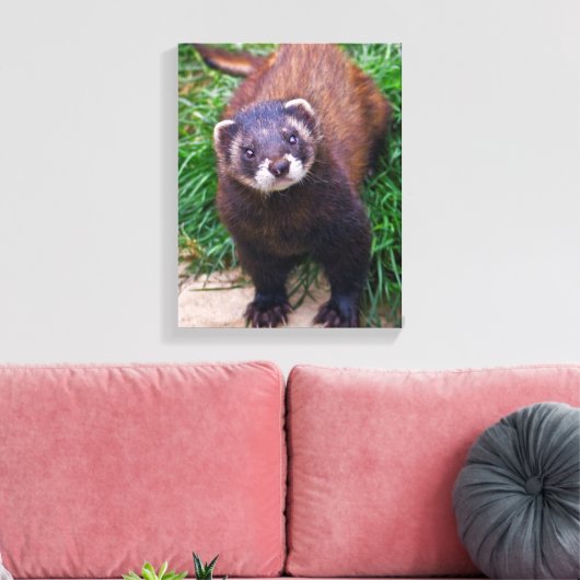 Polecat Verpakt Canvas Afdruk (Insitu (Woonkamer))