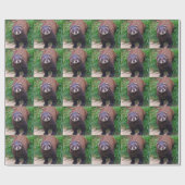 Polecat Wrapping Paper Cadeaupapier (Vlak)