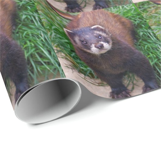 Polecat Wrapping Paper Cadeaupapier (Rol Hoek)