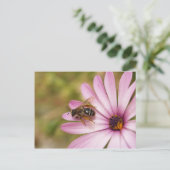 Polen Briefkaart (Staand voorkant)