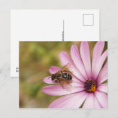 Polen Briefkaart (Voorkant / Achterkant)