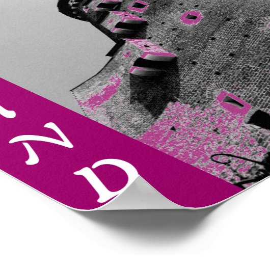 Polen Castle Poster (Hoek)