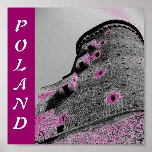 Polen Castle Poster (Voorkant)