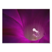 Polen Glitter Foto Afdruk (Voorkant)