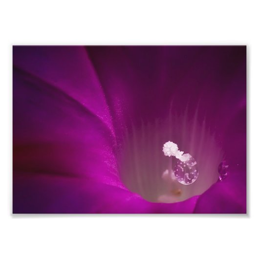 Polen Glitter Foto Afdruk (Voorkant)