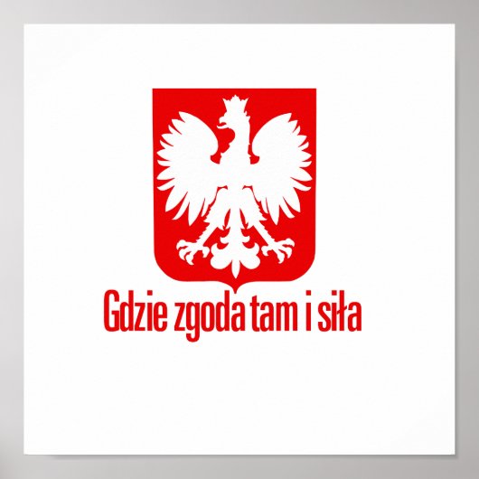 Polen - met eenheidskracht poster (Voorkant)