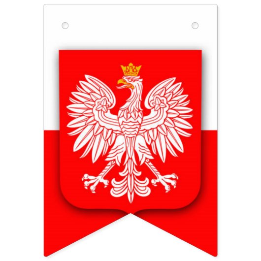 polen polska polski embleem patriottisch vlaggetjes (Eerste vlag)