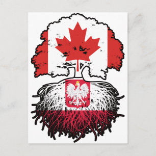 Polen Pools Canadese Canada Boomwortels Vlag Briefkaart