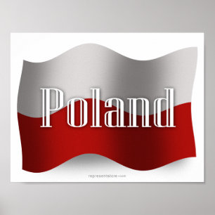 Polen Waving Flag Poster