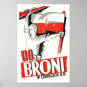 Polen WWII Propagandaposter Naar de wapens in de Poster